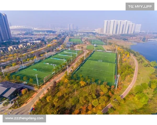 巴舒亚伊精通五国语言展现多元魅力与足球场内外的文化融合